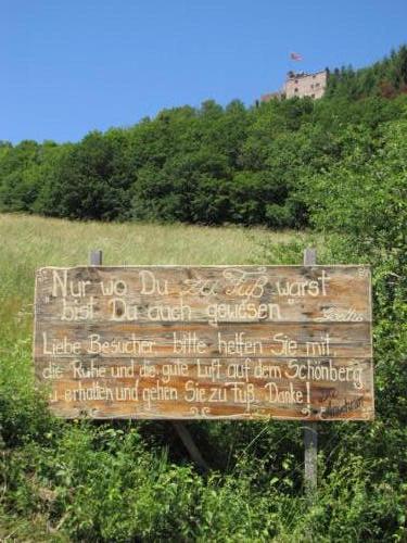 Burgruine  Hohengerolseck 7284