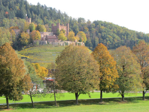 Schloss Ortenberg im Kinzigtal - Wahrzeichen der Ortenau 9297