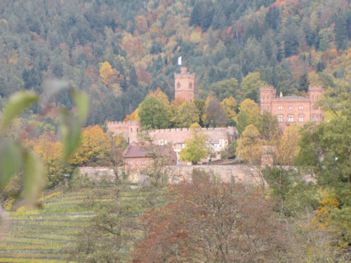 Schloss Ortenberg im Kinzigtal - Wahrzeichen der Ortenau 9306