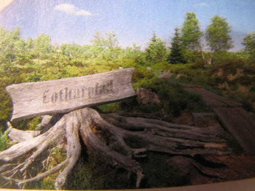 Wanderung auf dem Lothar-Pfad 9310