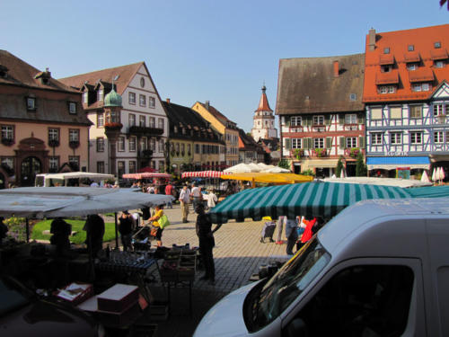 16 Bauernmarkt  -  mittwochs und samstags